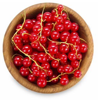 Porzeczki czerwone Morango